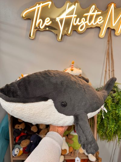 Jelly cat Humphrey whale