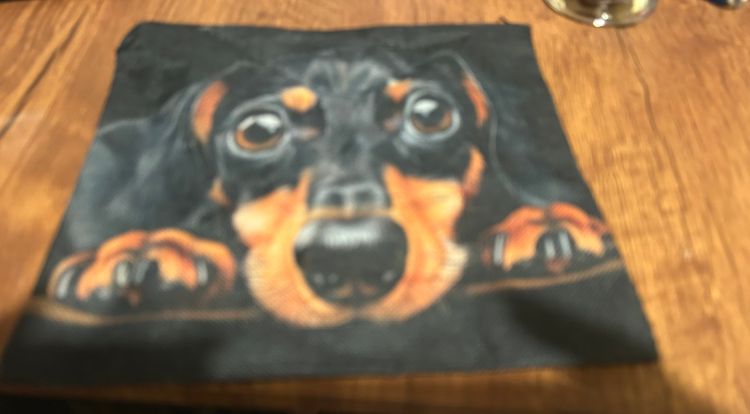 Black makeup bag With Dog Face Print