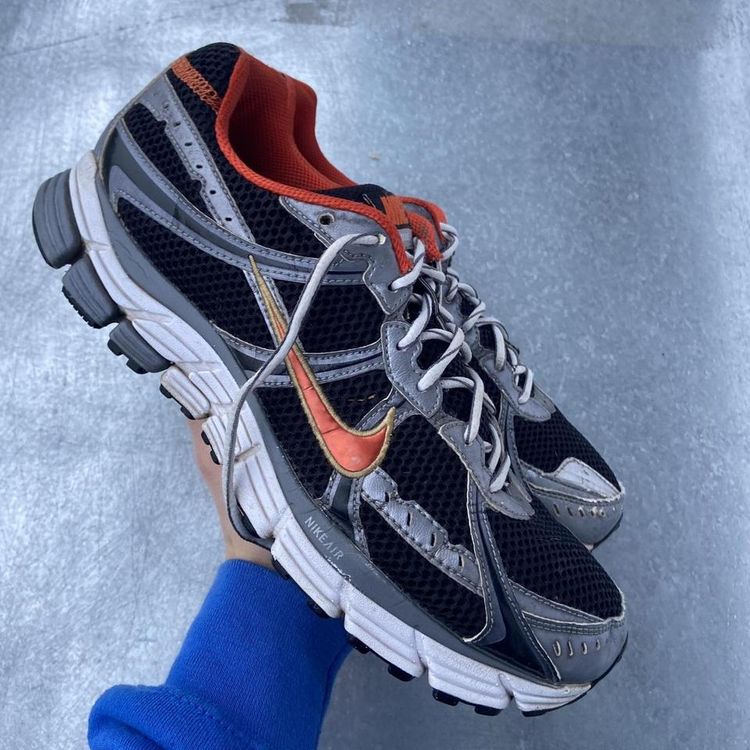 Nike air zoom Pegasus
