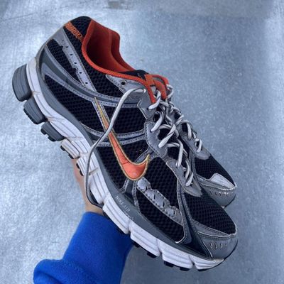 Nike air zoom Pegasus