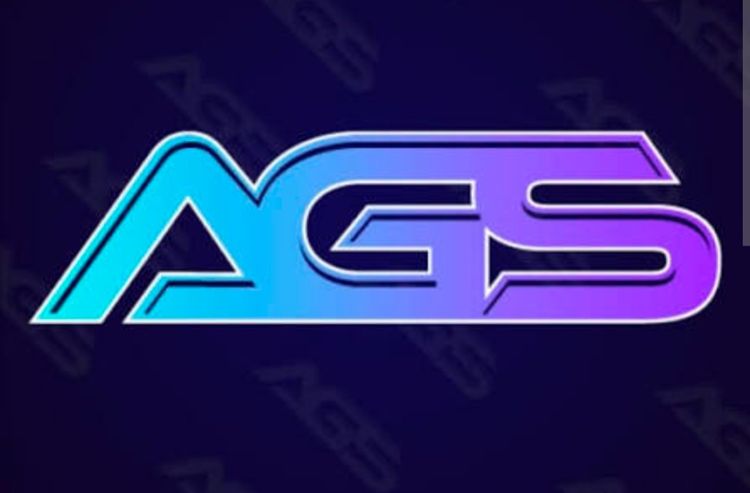 Immagine di Japanese AGS Slabs  1