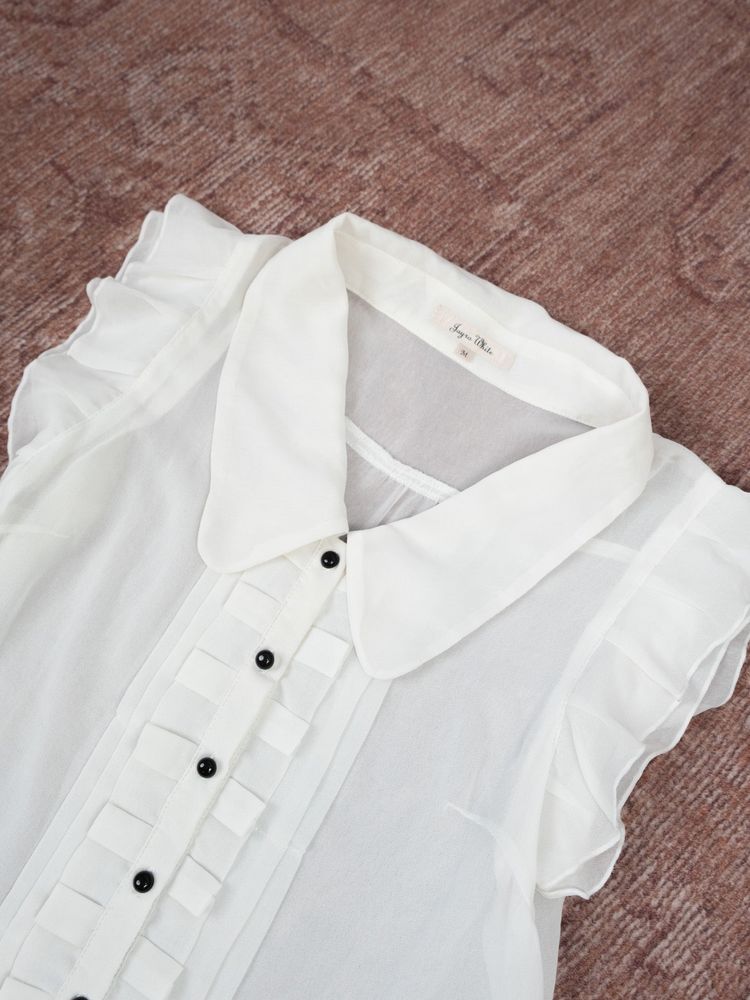 SHEER WING SLEEVES BUTTON UP TOP 9