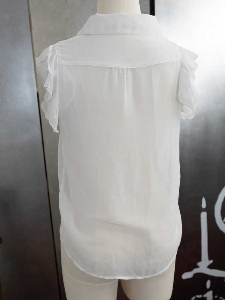 SHEER WING SLEEVES BUTTON UP TOP 2
