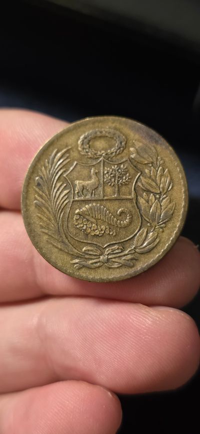 5). 1/2 Sol De Oro Coin