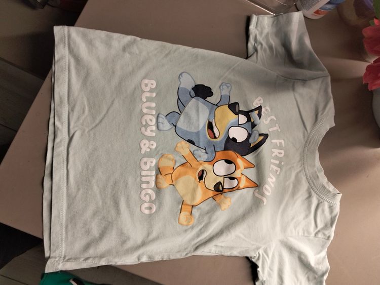 Other Bluey And Bingo  t-shirt  product image