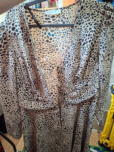 Zara Animal Print Dress