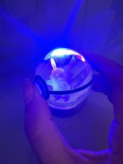 Pokémon Light-Up Snow Globe