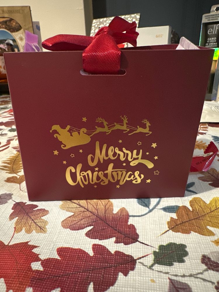 Christmas Gift Bag