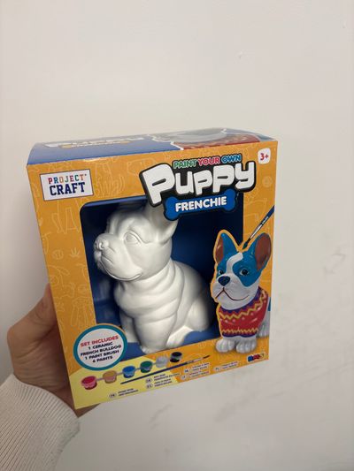 Project Craft Paint Your Own Puppy Frenchie Kit