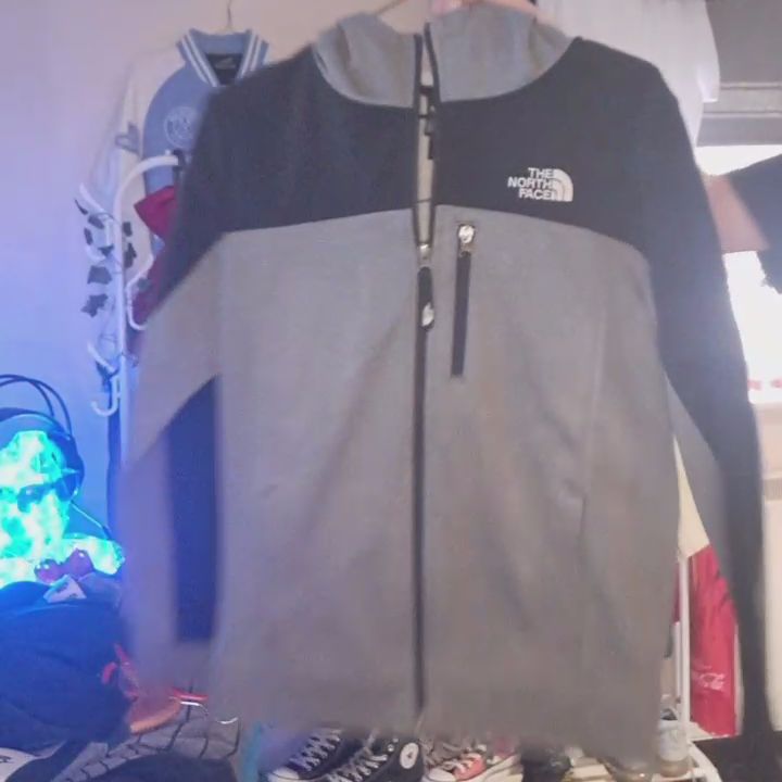 The North Face xly nf hoodie product image