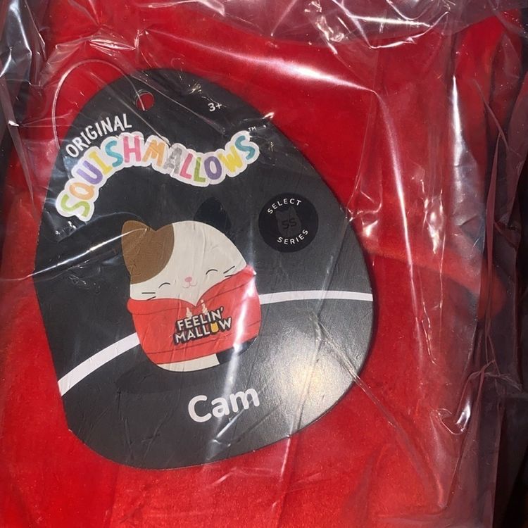 Squishmallows Cam Plush Toy image 2