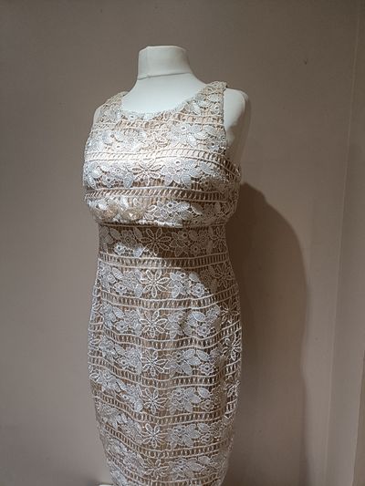 Coast Sleeveless Lace Dress