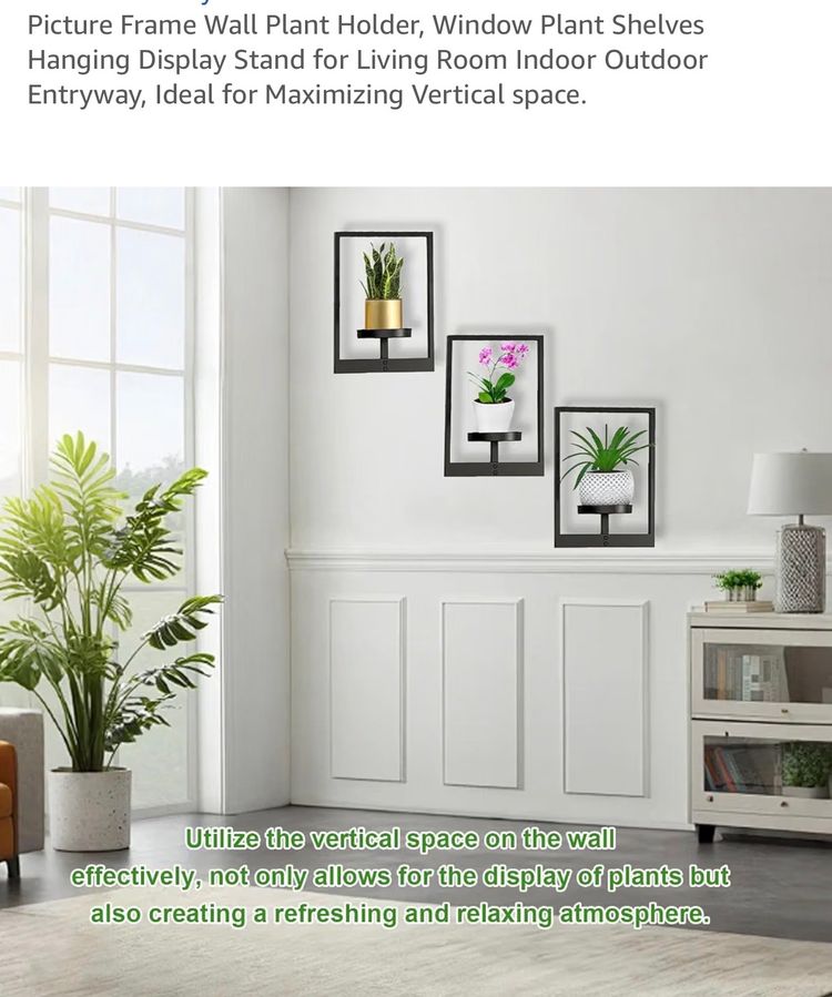 Picture Frame Wall Plant Holder obraz 1