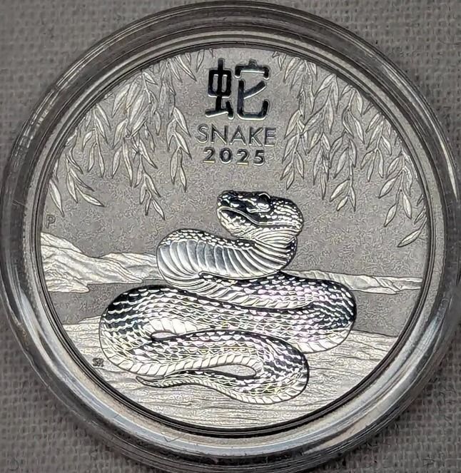 1/2 oz snake 999 Silver Coin