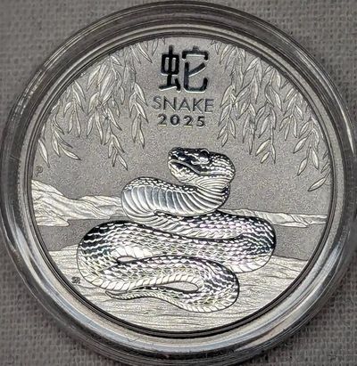 1/2 oz snake 999 Silver Coin