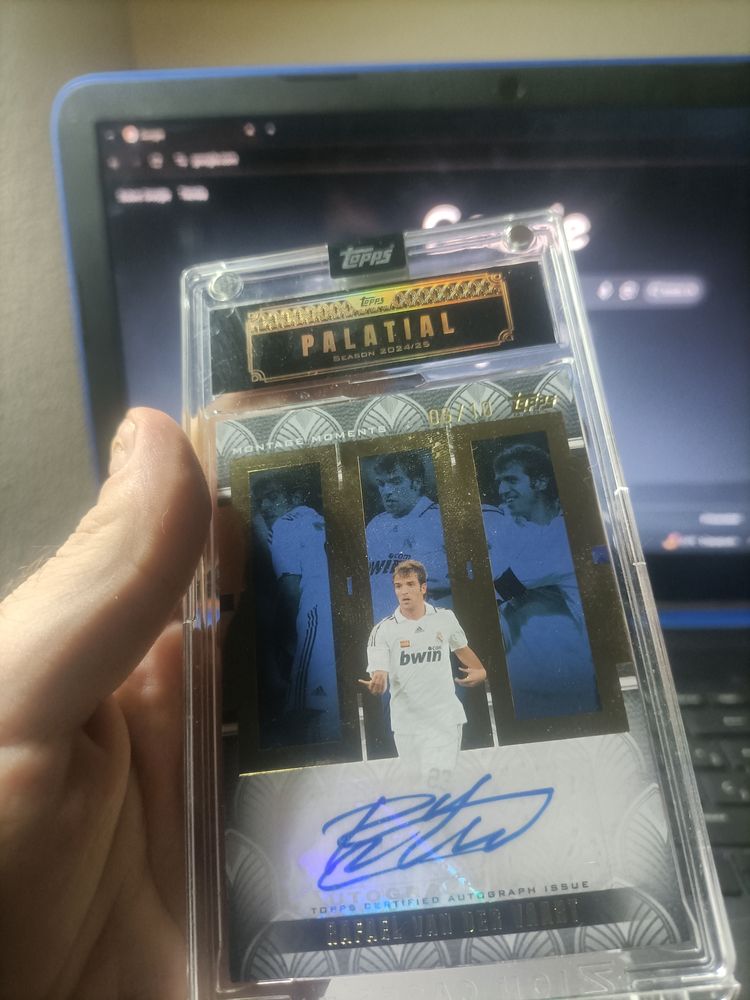 Mysteri Palatial van der vart 06/10Sports Trading Card image 1