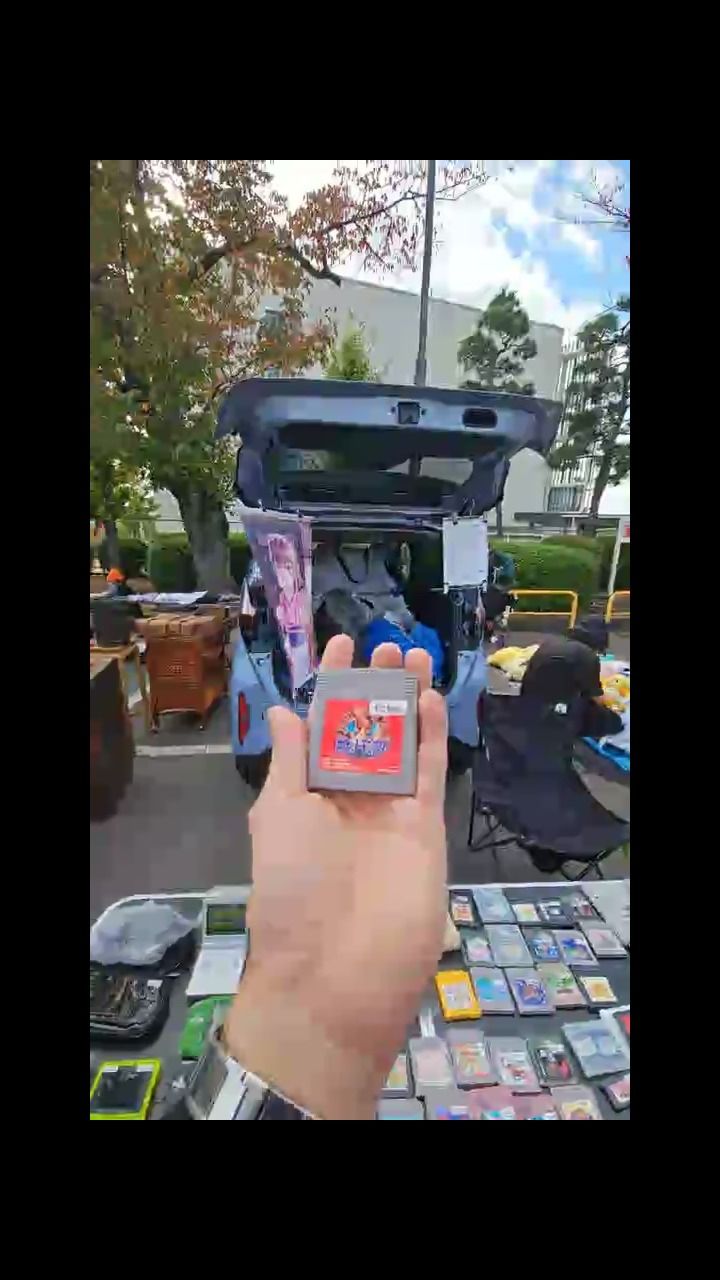 Pokémon Game boy pokemon product image