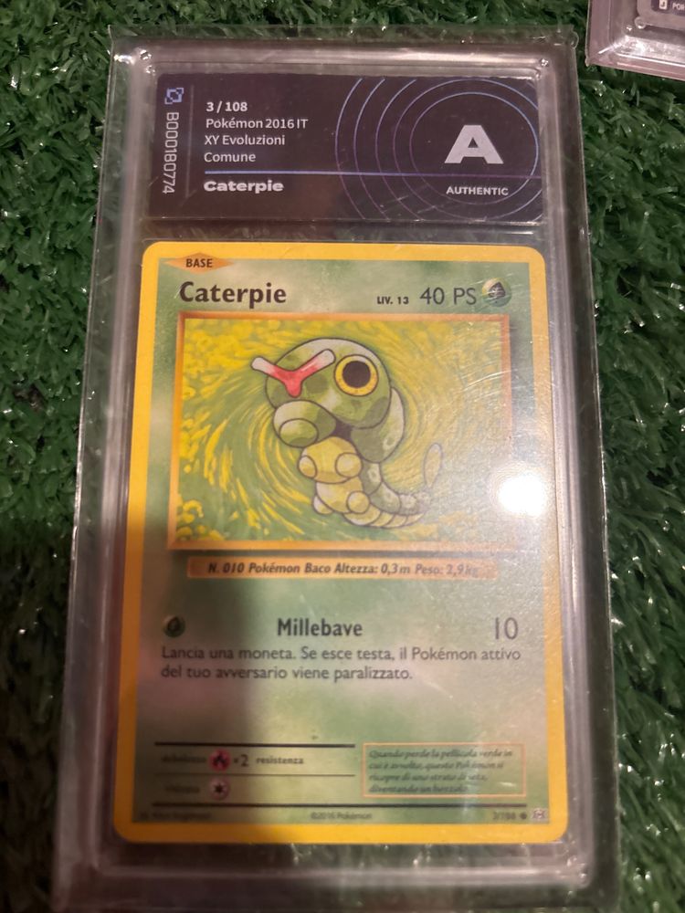 Caterpie carta gradata  obraz 1