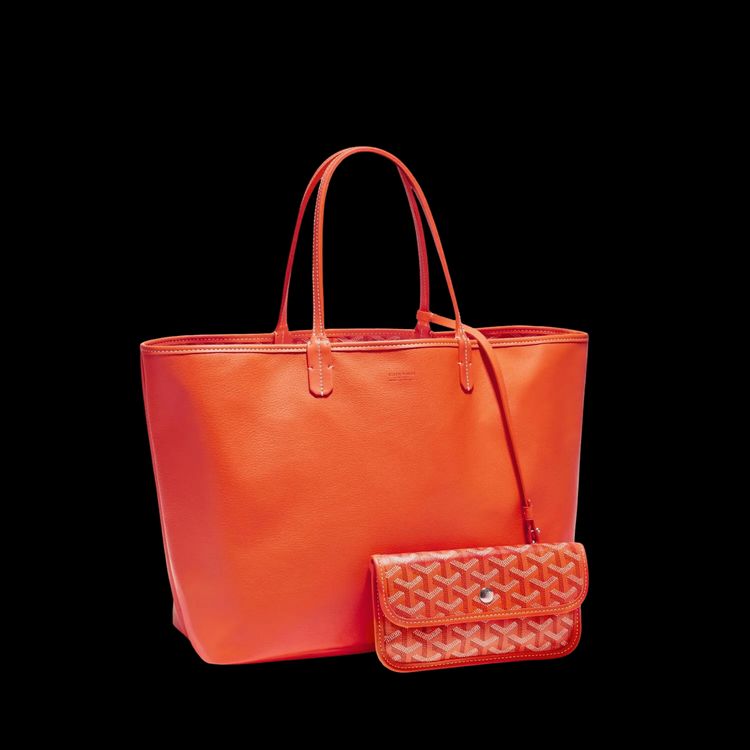 Goyard Anjou PM Bag Orange image 1