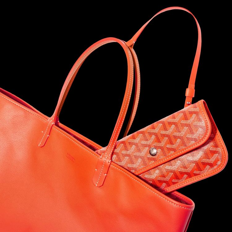 Goyard Anjou PM Bag Orange image 4