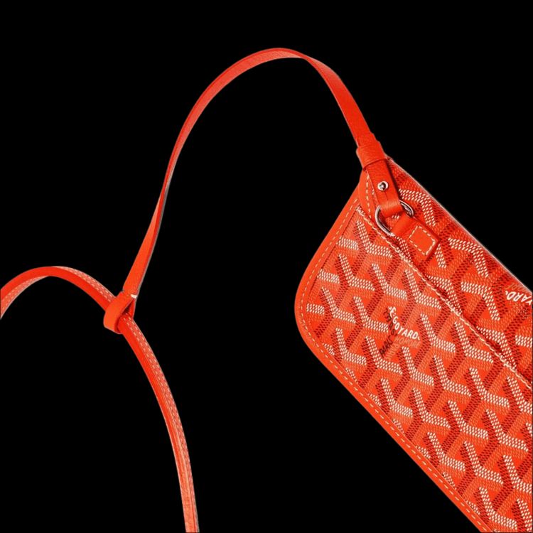 Goyard Anjou PM Bag Orange image 8