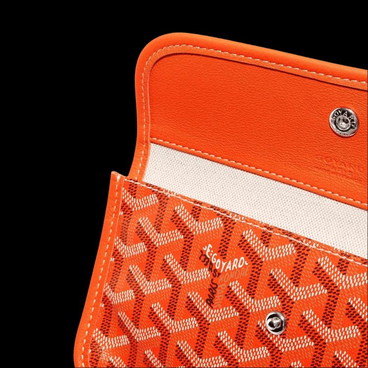 Goyard Anjou PM Bag Orange image 7