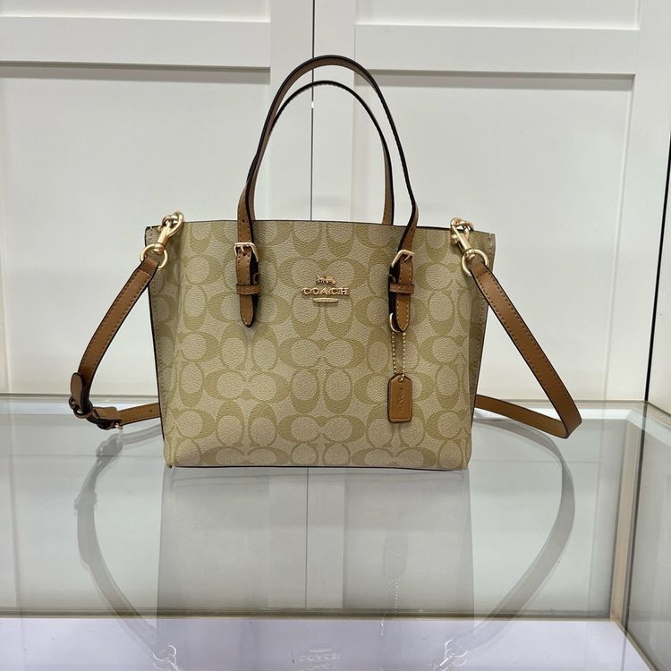 Coach Coach Beige Signature Tote Bag product image