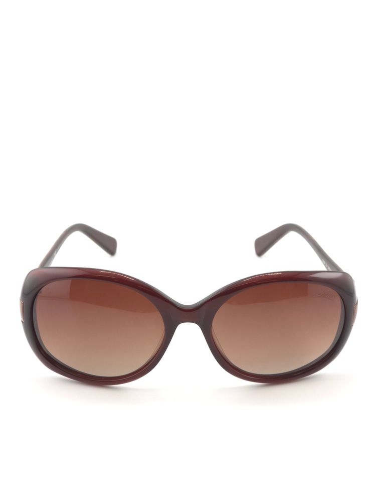 Amor D226 Two-Tone Acetate Sunglasses image 4