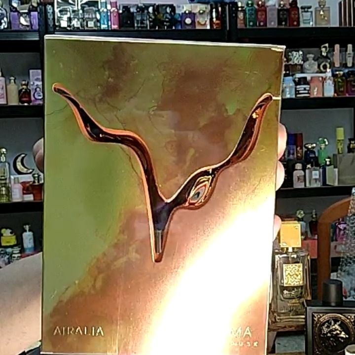 Other MAGMA product image