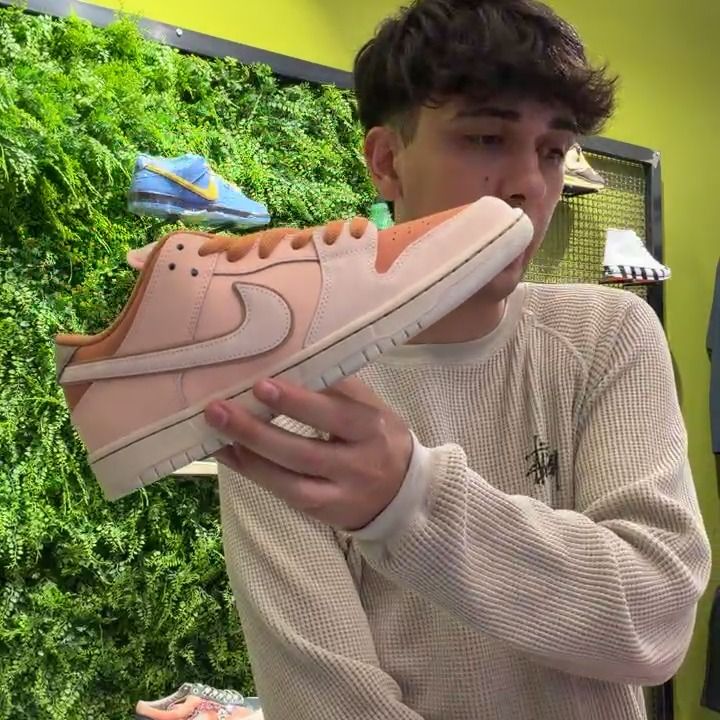 Other Dunk Low Sb Pink product image