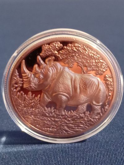 3D Copper Coin With Rhinoceros Design