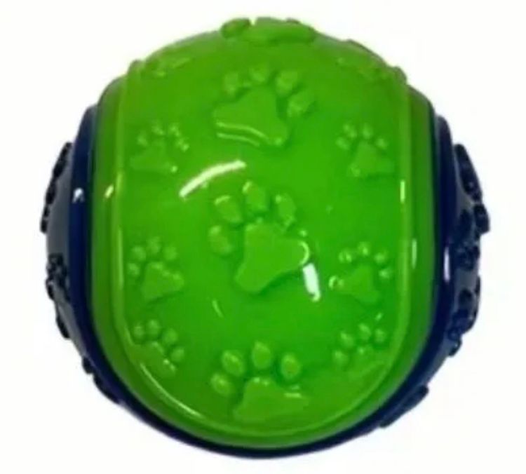 Green Dog Squeaky Chew Ball