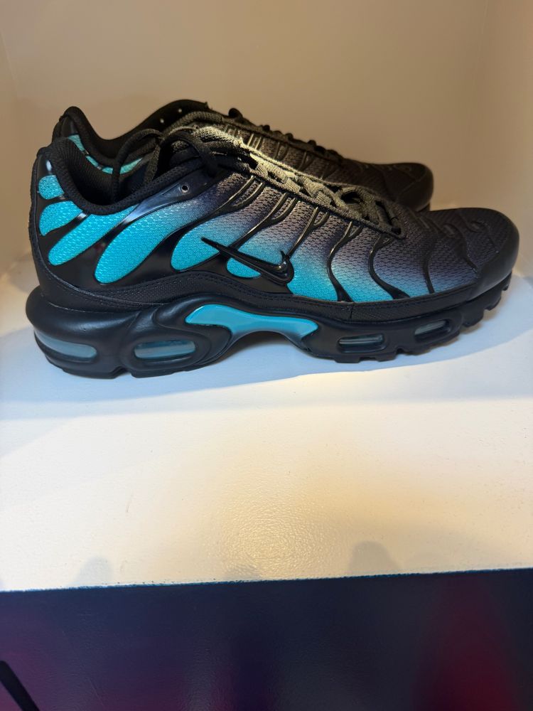 Nike Air Max TN Dusty Cactus
