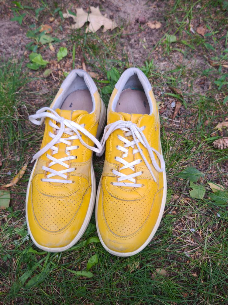 Ecco Yellow Sneakers image 9
