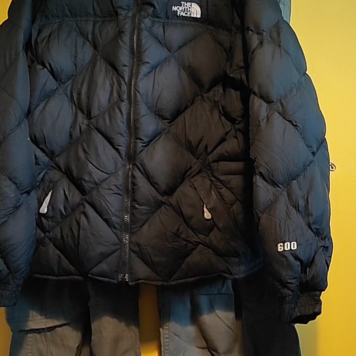 The North Face The North Face 600 Medium product image