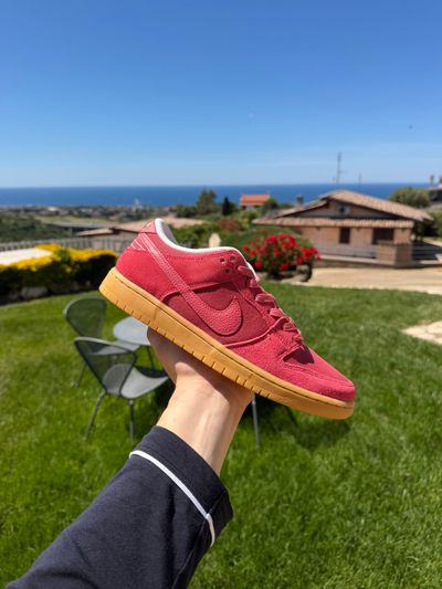 Dunk low Sb Adobe 43