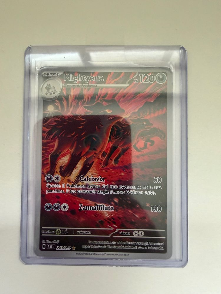 Pokémon Mightyena Pokémon Card product image