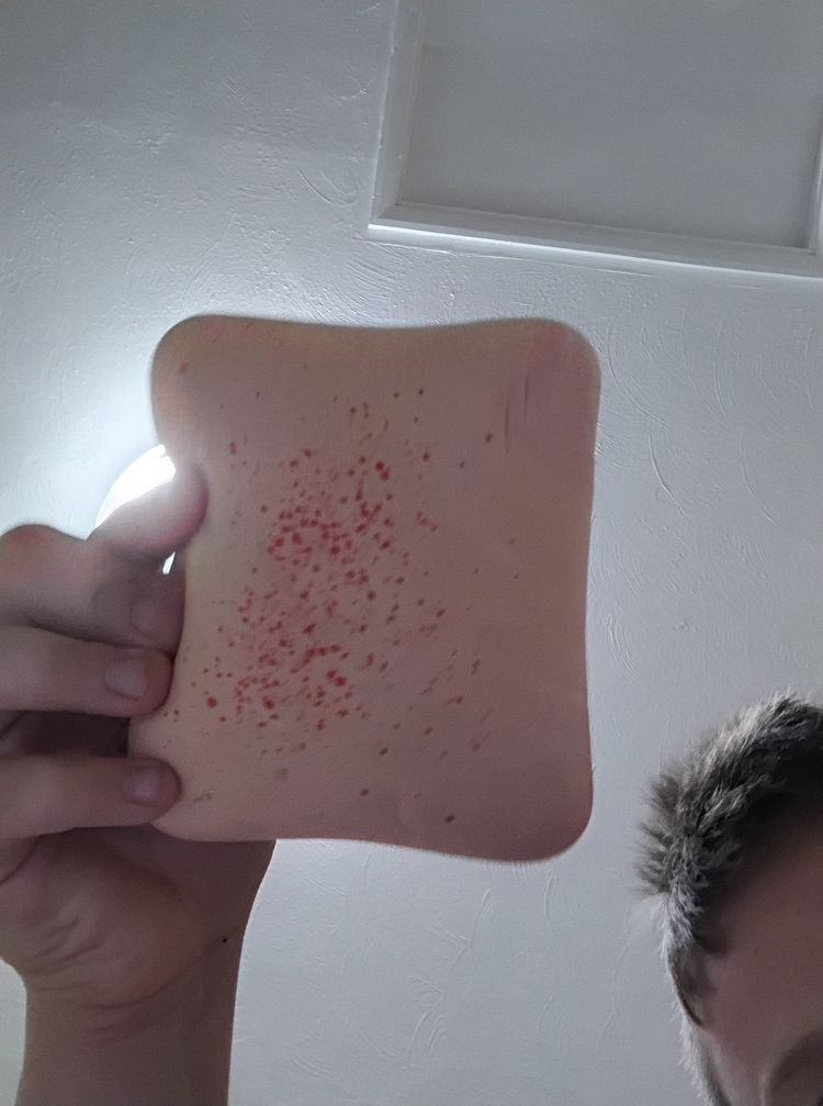Strawberry shortcake foam squishy 