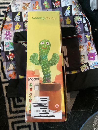 Dancing Cactus Toy