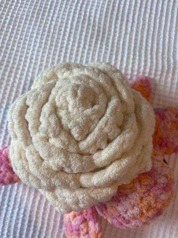 Plush Turtle Toy 2