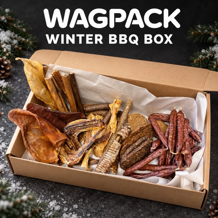 Immagine di WagPack Winter BBQ Box - 49 All Natural Treats! 1