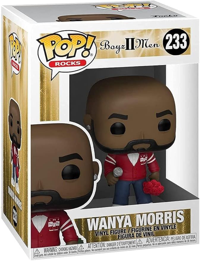 Wanya Morris Vinyl Figure 2