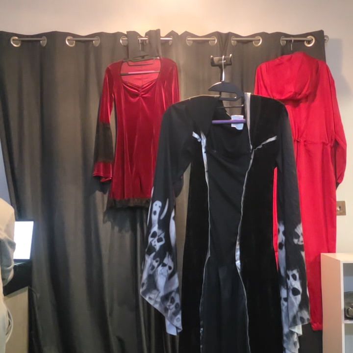 Halloween Costume - Pre-Loved image 1