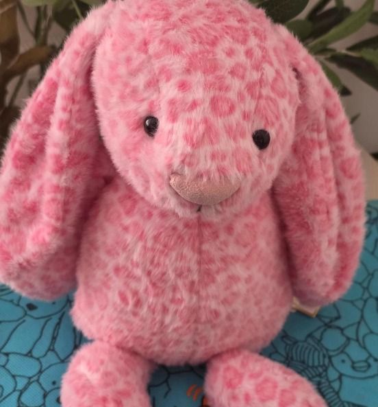 Pink Plush Bunny Toy