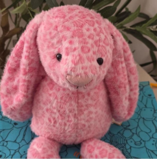 Immagine di Pink Plush Bunny Toy 2