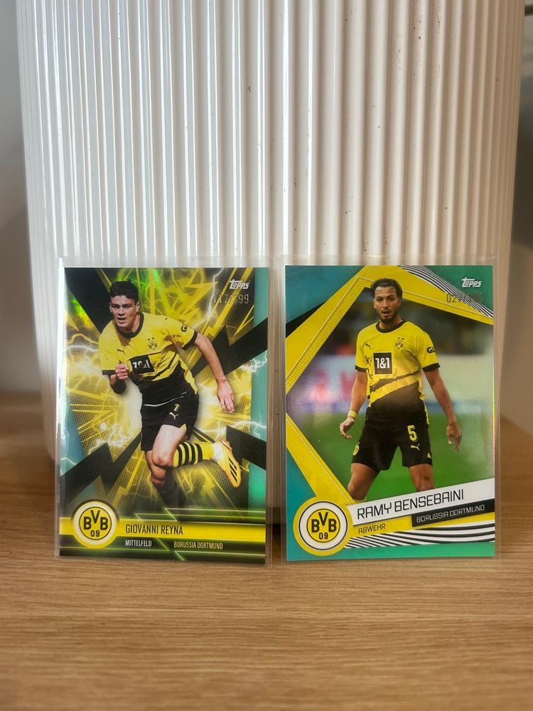 Borussia Dortmund /399