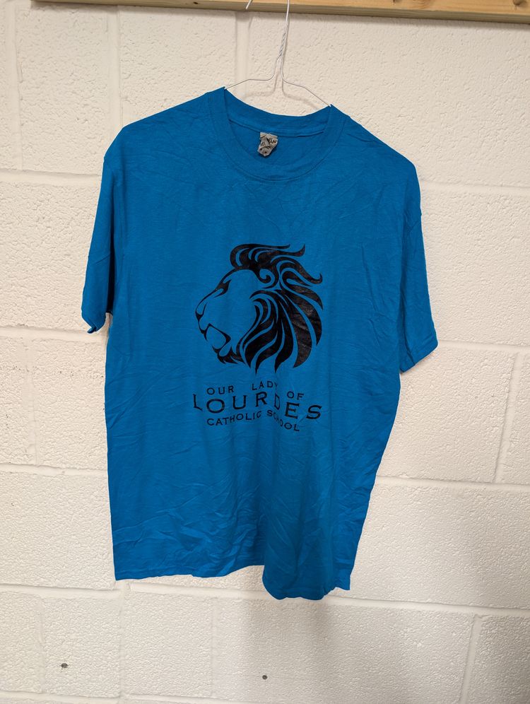Other 16 Blue Our Lady of Lourdes Catholic School with print at back product image