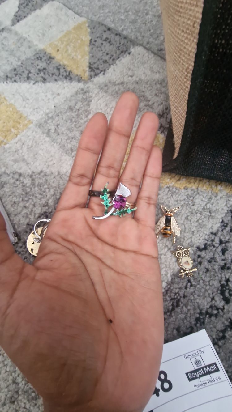 Colorful Thistle Brooch