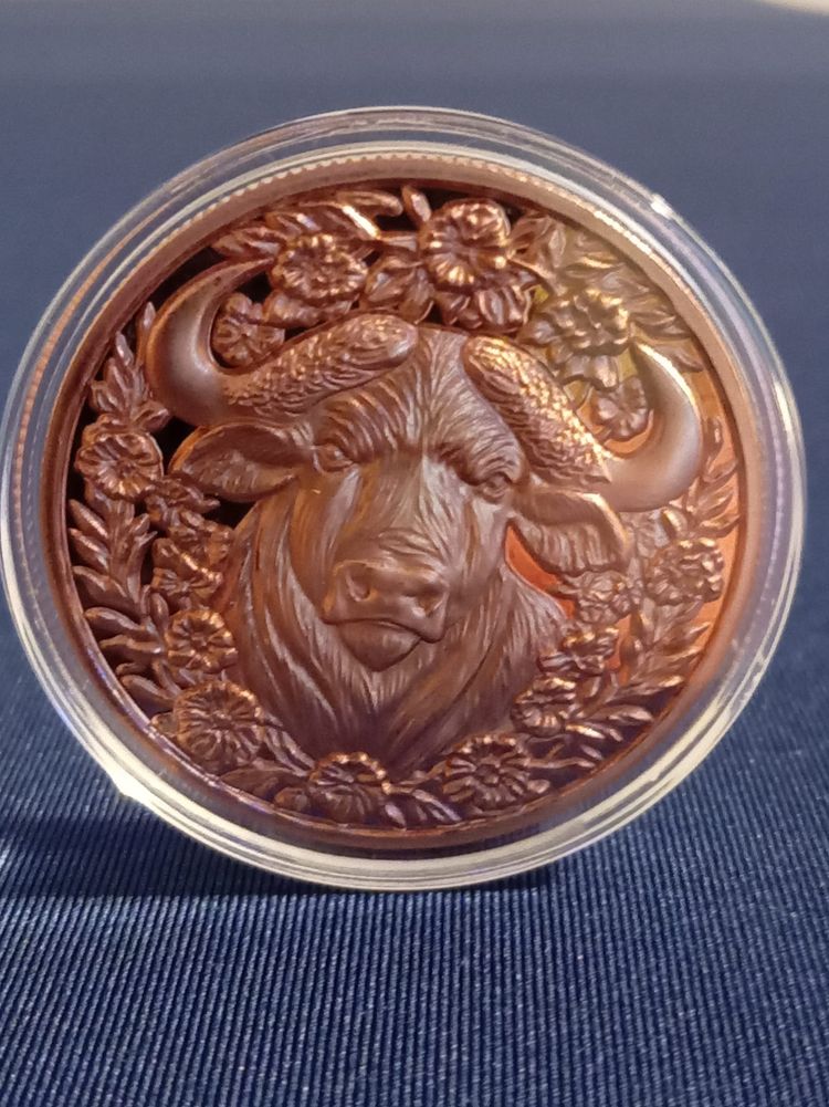 3D Decorative Copper Coin With Buffalo And Star Design
