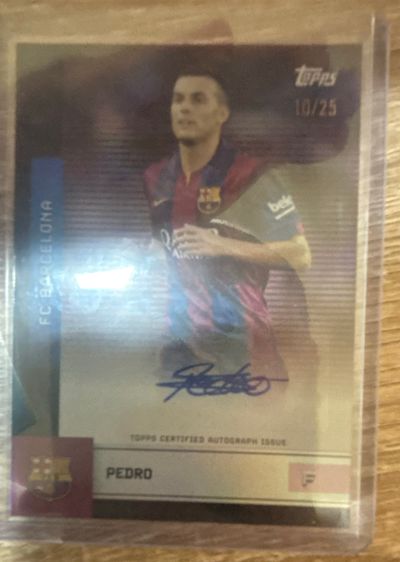 Pedro Auto /25